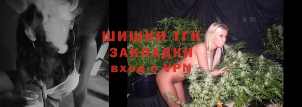 PSILOCYBIN Аркадак
