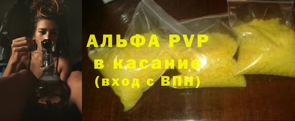 PSILOCYBIN Аркадак