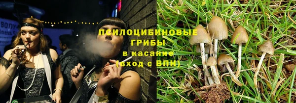 PSILOCYBIN Аркадак