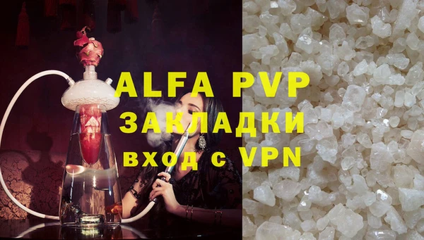PSILOCYBIN Аркадак