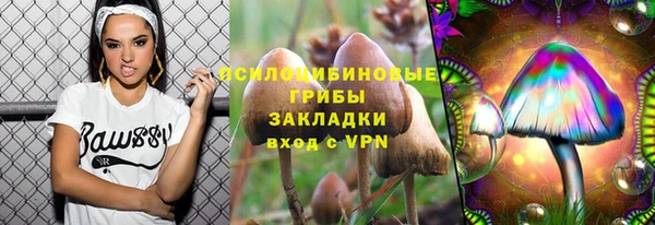 спиды Армянск