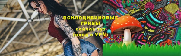 меф Заводоуковск