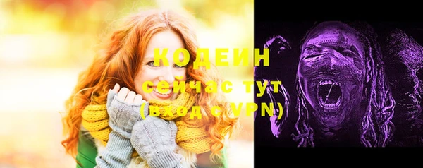 PSILOCYBIN Аркадак