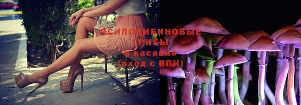 спиды Армянск